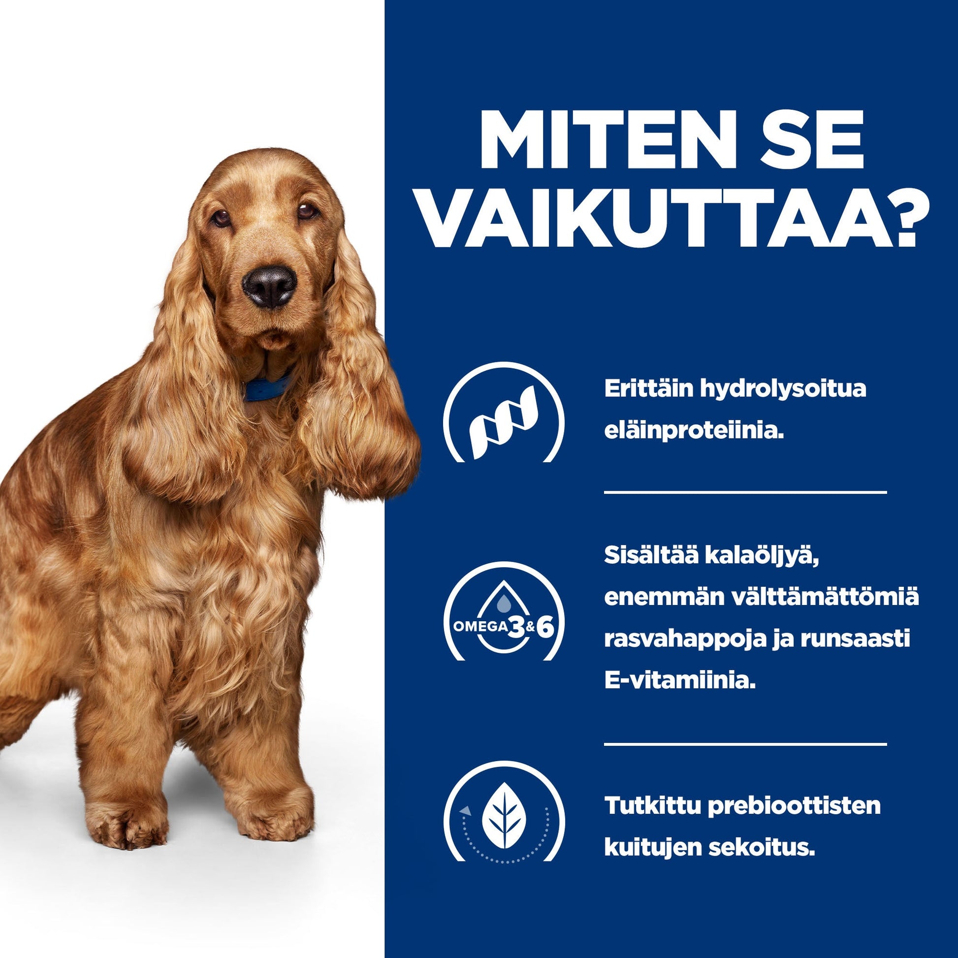 Hill's PRESCRIPTION DIET z/d koiran märkäruoka 12x370g - BK30873M_BK30972_How_Works_FI