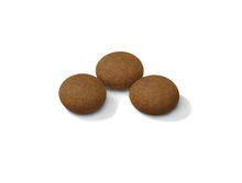 Royal Canin Sporting Life Energy 4300