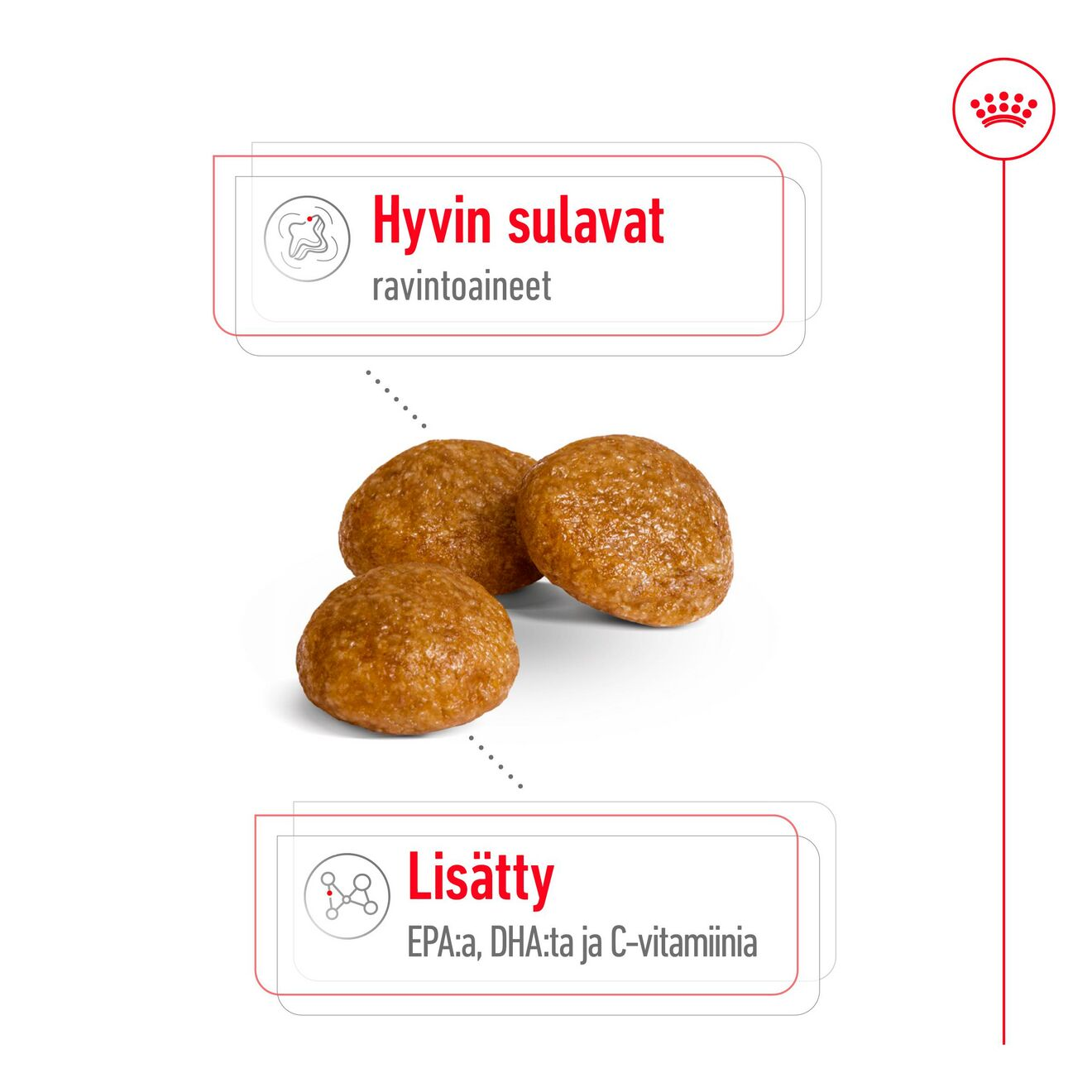 Royal Canin X-Small Adult