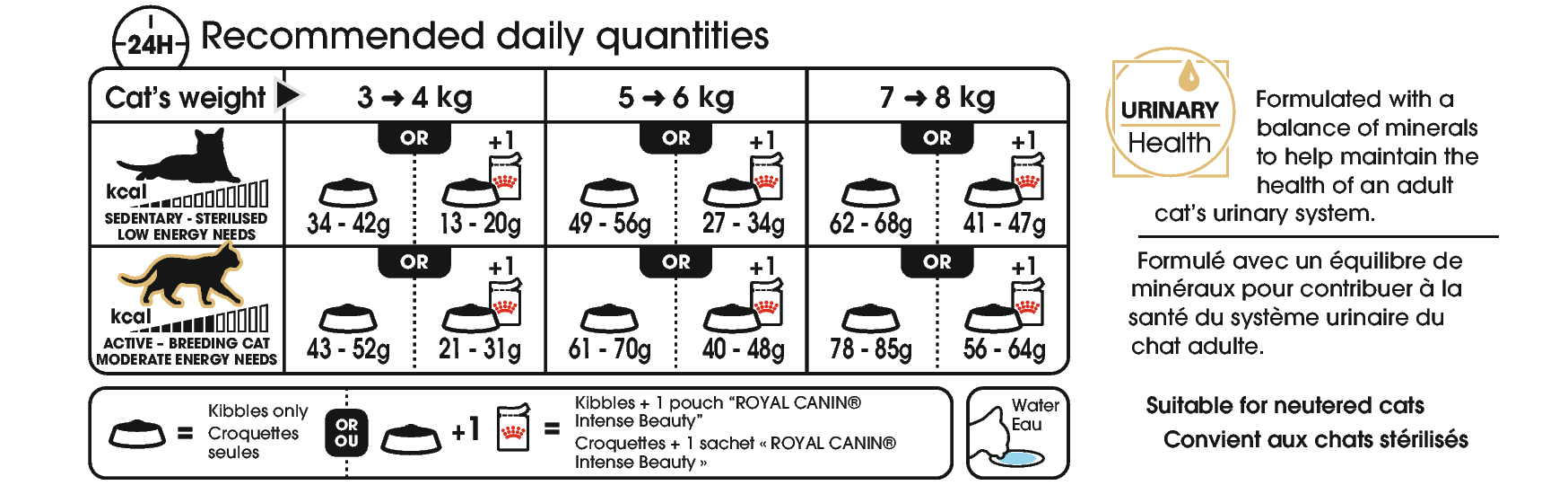 Royal Canin Ragdoll Adult kissan kuivaruoka