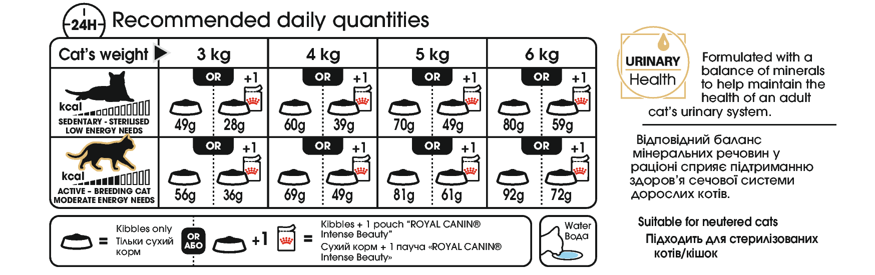 Royal Canin Sphynx Adult kissan kuivaruoka