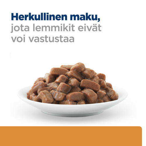 Hill's PRESCRIPTION DIET Feline k/d beef 12x85 g