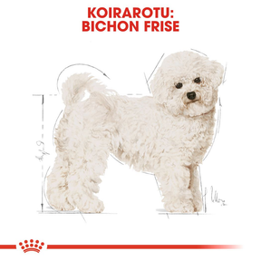 Royal Canin Bichon Frisé Adult koiran kuivaruoka