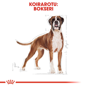 Royal Canin Boxer Adult koiran kuivaruoka