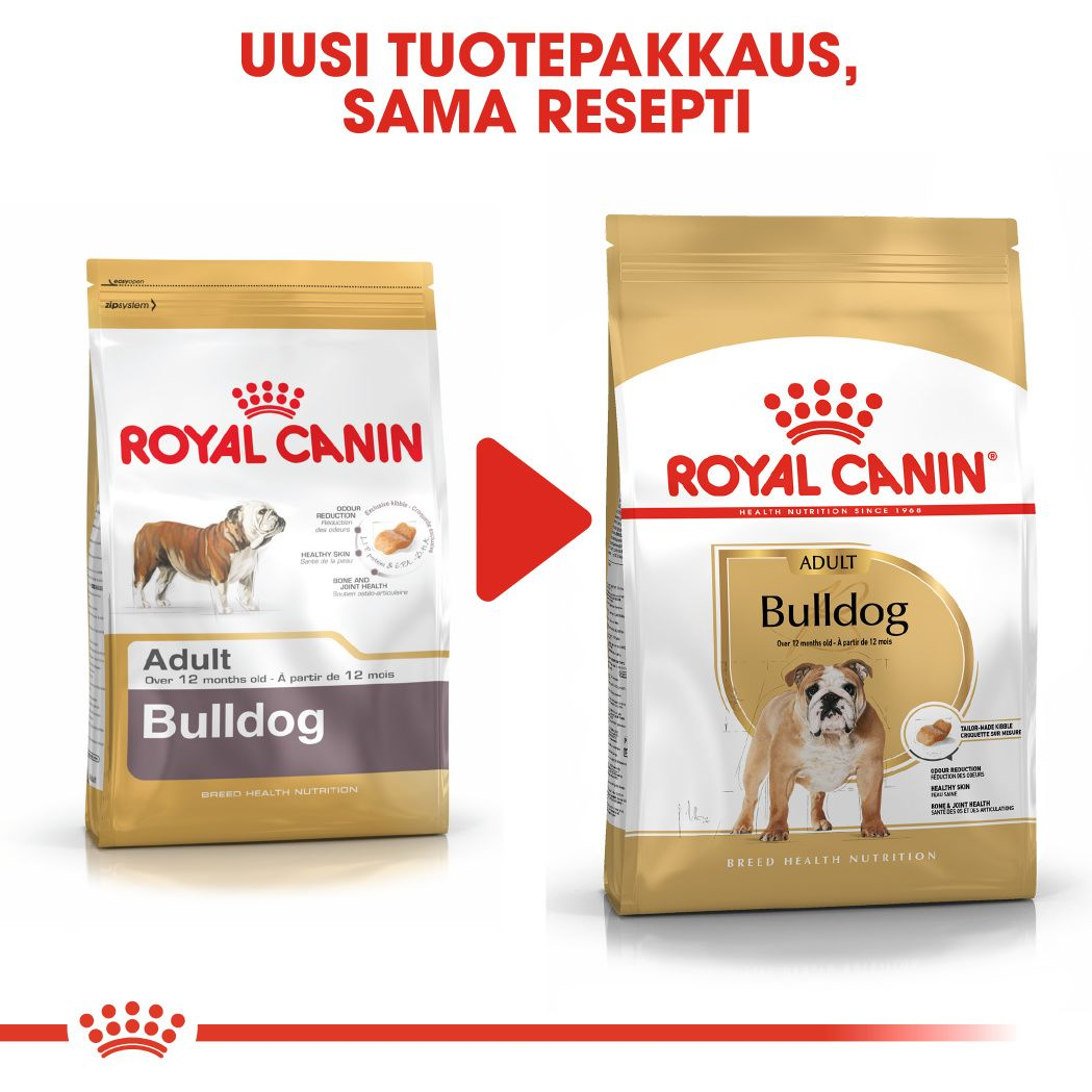 Royal Canin Bulldog Adult koiran kuivaruoka