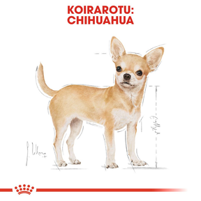 Royal Canin Chihuahua Adult koiran kuivaruoka