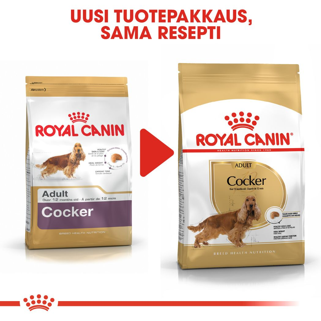 Royal Canin Cocker Adult koiran kuivaruoka