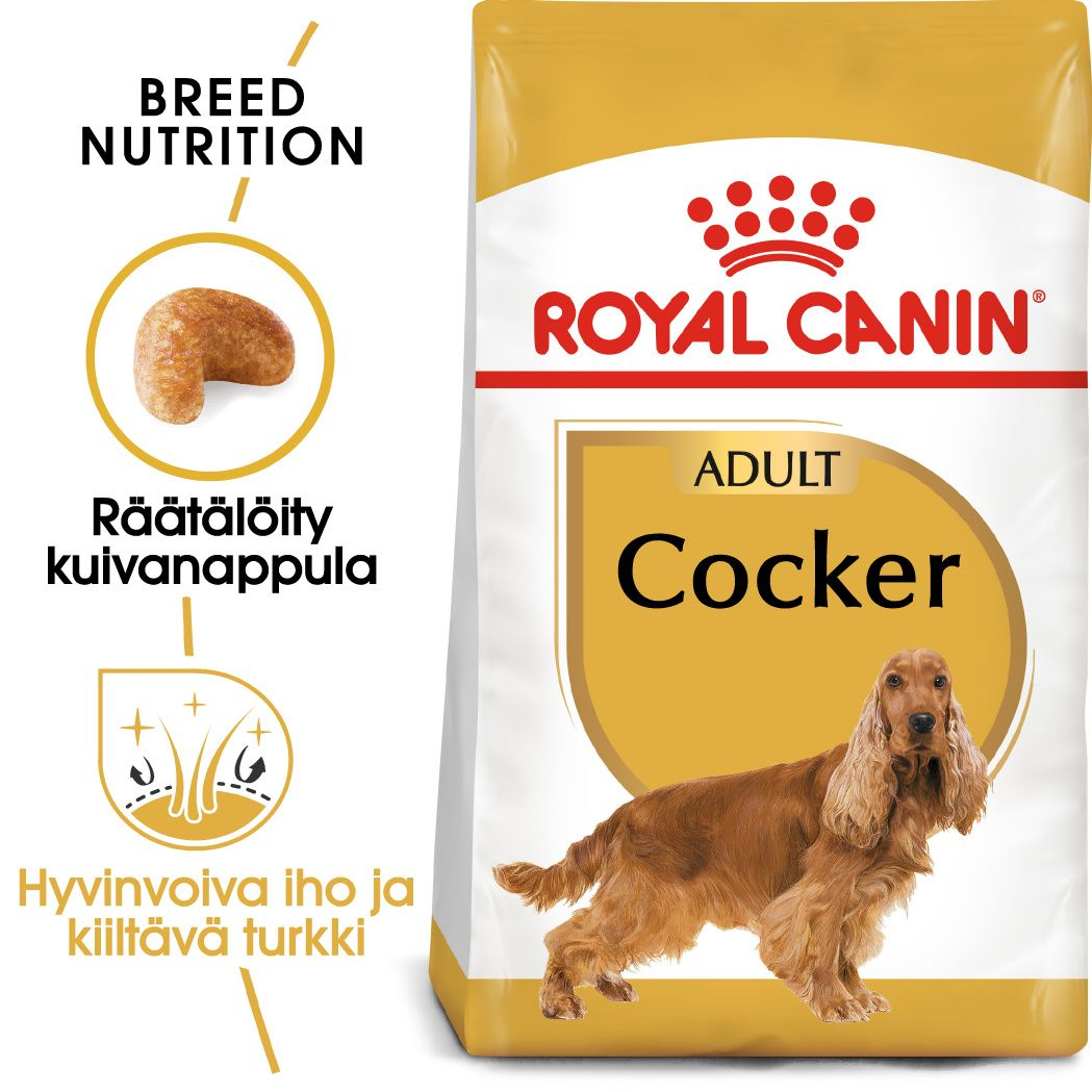 Royal Canin Cocker Adult koiran kuivaruoka