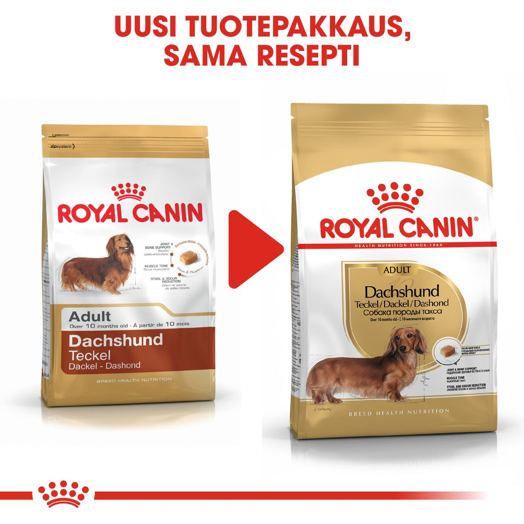 Royal Canin Dachshund Adult koiran kuivaruoka