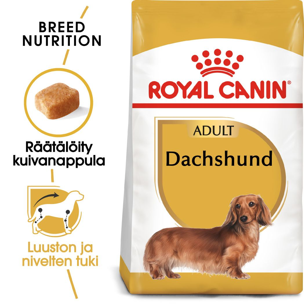 Royal Canin Dachshund Adult koiran kuivaruoka