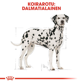 Royal Canin Dalmatian Adult koiran kuivaruoka