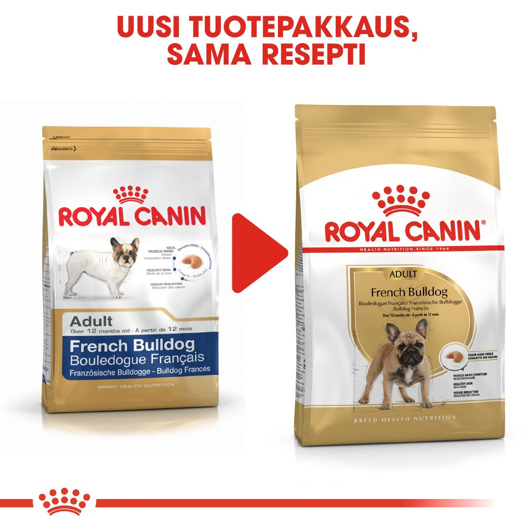 Royal Canin French Bulldog Adult koiran kuivaruoka