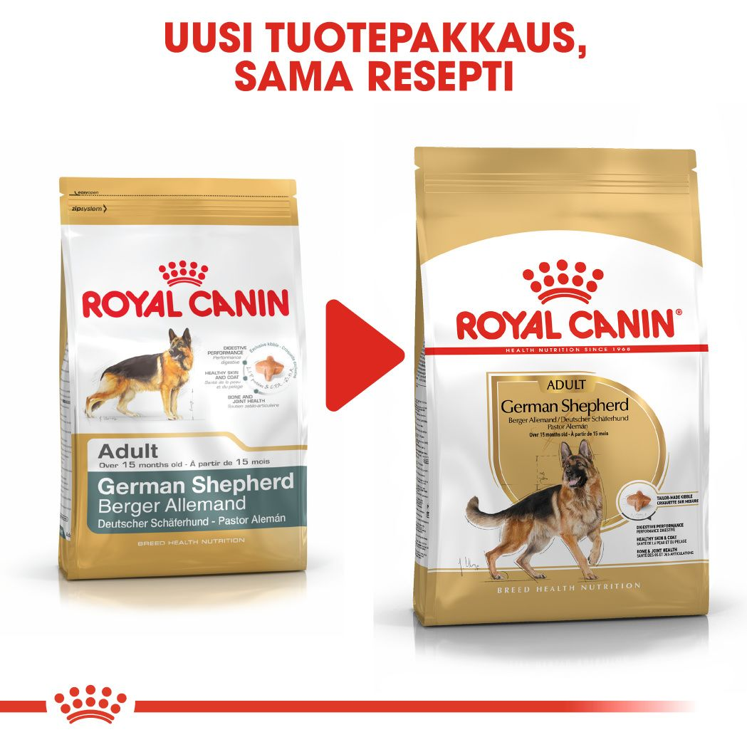 Royal Canin German Shepherd Adult koiran kuivaruoka