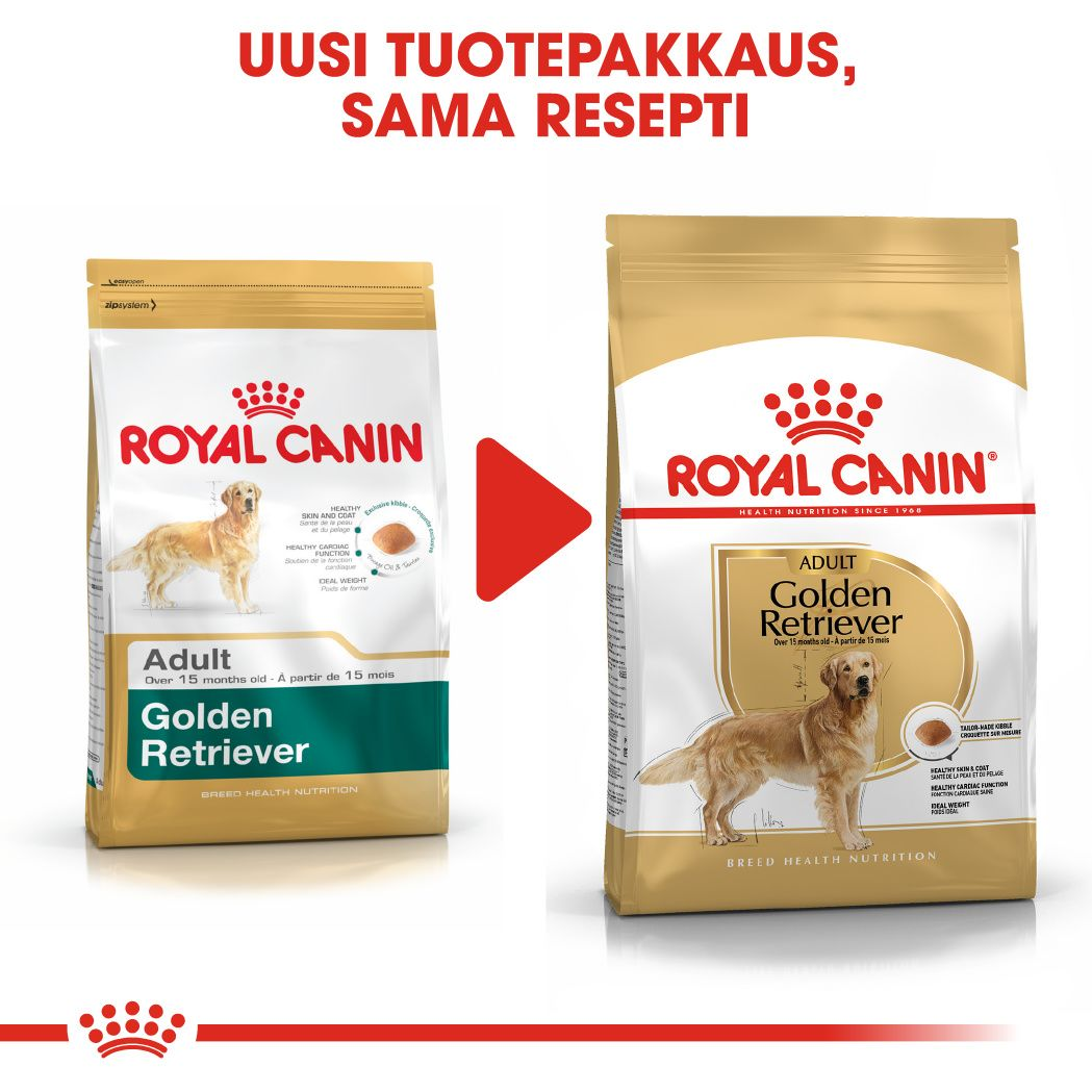 Royal Canin Golden Retriever Adult koiran kuivaruoka