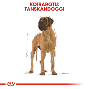 Royal Canin Great Dane Adult koiran kuivaruoka