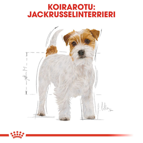 Royal Canin Jack Russel Adult koiran kuivaruoka