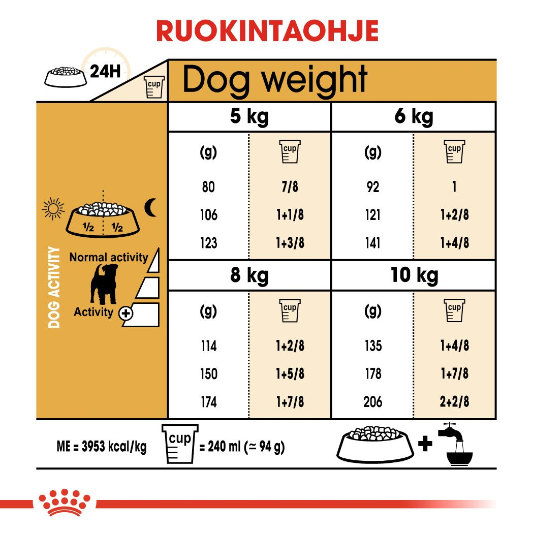 Royal Canin Jack Russel Adult koiran kuivaruoka