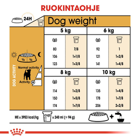 Royal Canin Jack Russel Adult koiran kuivaruoka