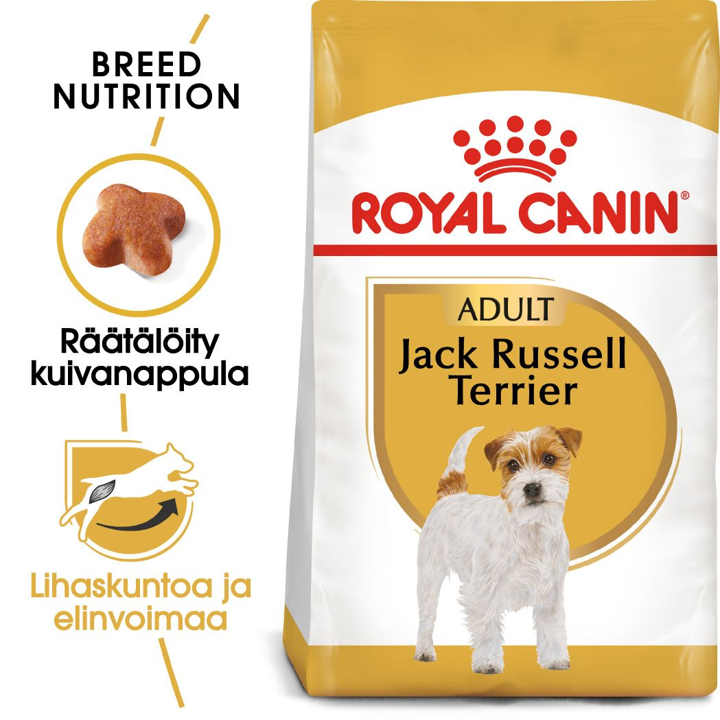 Royal Canin Jack Russel Adult koiran kuivaruoka