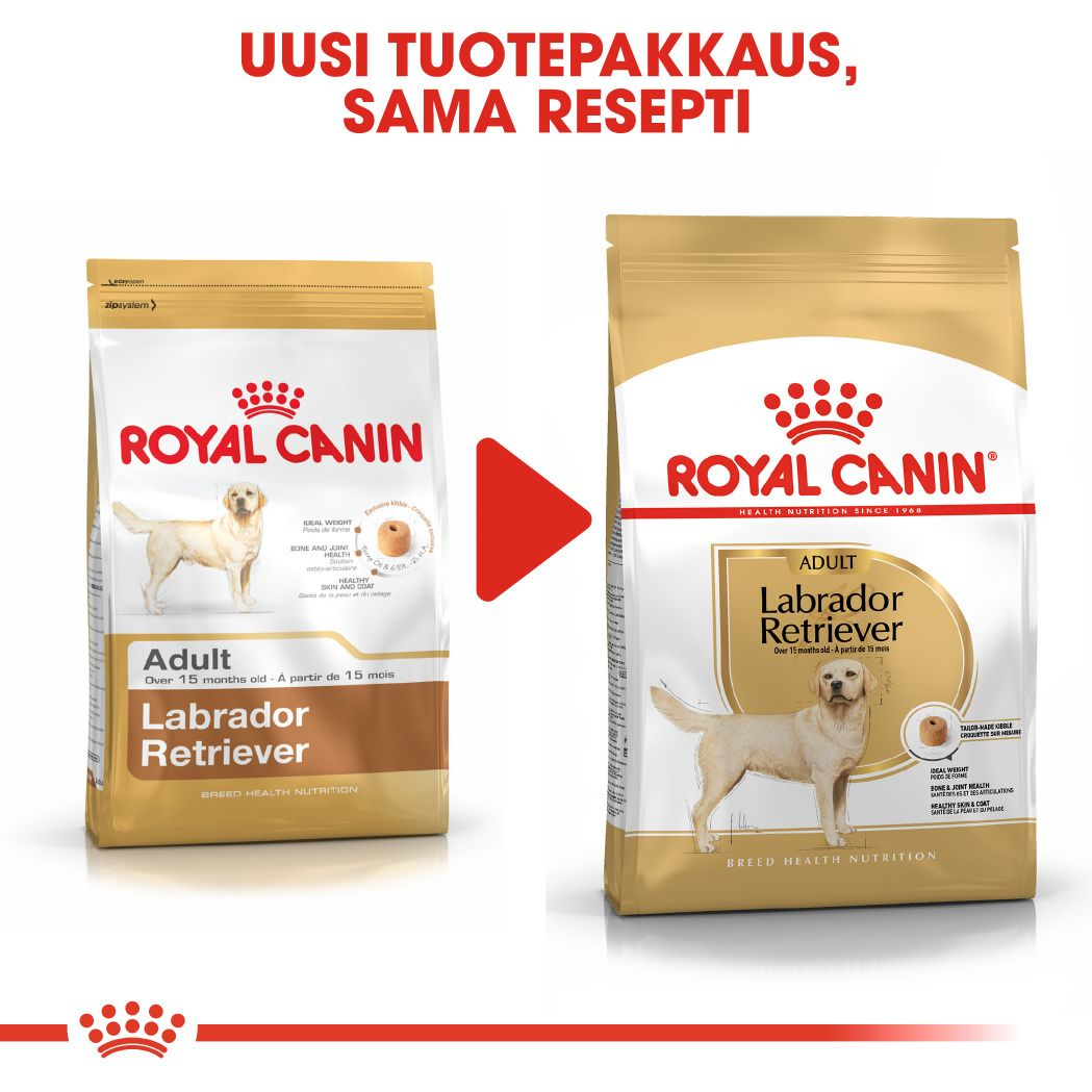 Royal Canin Labrador Retriever Adult koiran kuivaruoka