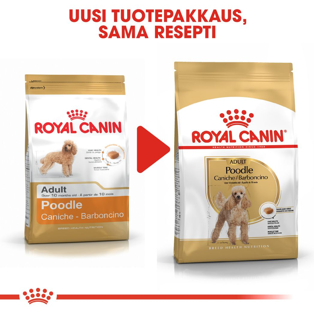 Royal Canin Poodle Adult koiran kuivaruoka