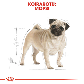 Royal Canin Pug Adult koiran kuivaruoka