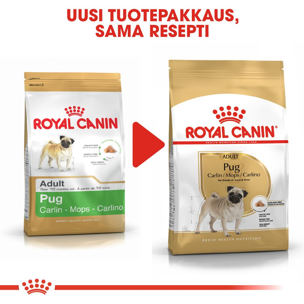 Royal Canin Pug Adult koiran kuivaruoka