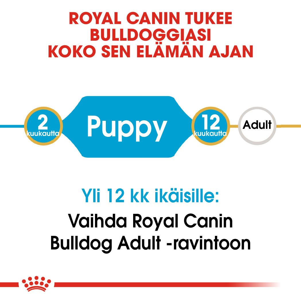 Royal Canin Bulldog Puppy koiranpennun kuivaruoka