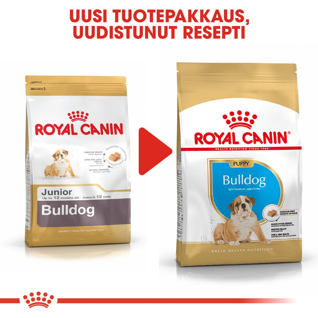 Royal Canin Bulldog Puppy koiranpennun kuivaruoka