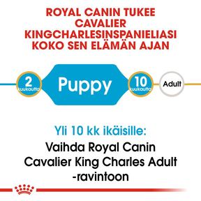 Royal Canin Cavalier King Charles Puppy koiranpennun kuivaruoka