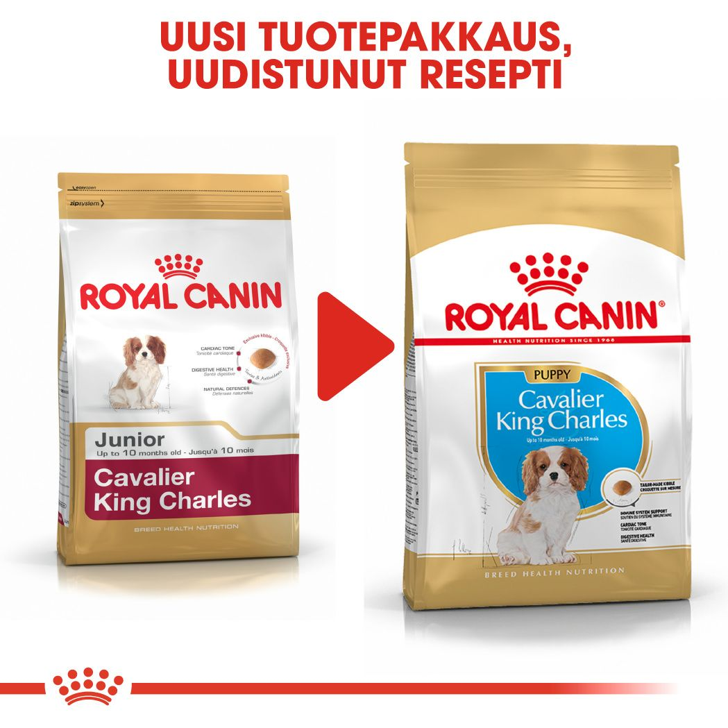 Royal Canin Cavalier King Charles Puppy koiranpennun kuivaruoka