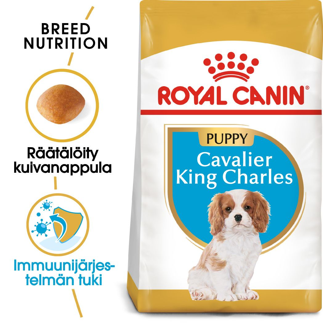 Royal Canin Cavalier King Charles Puppy koiranpennun kuivaruoka