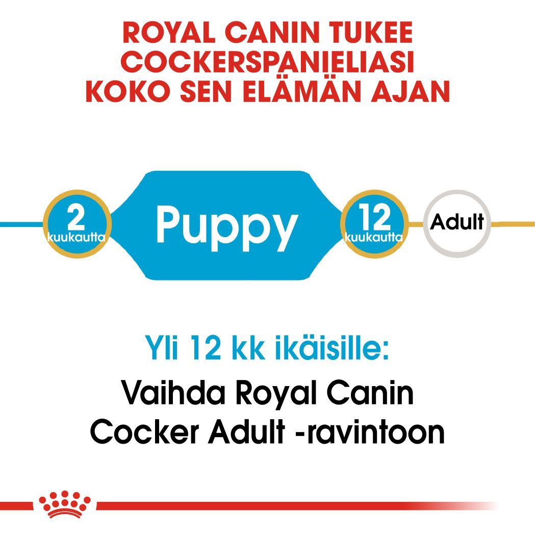 Royal Canin Cocker Puppy koiranpennun kuivaruoka