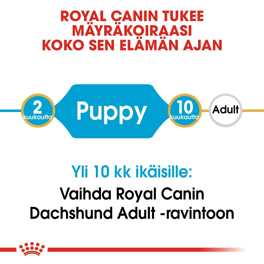 Royal Canin Dachshund Puppy koiranpennun kuivaruoka