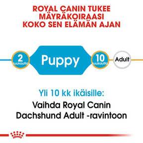 Royal Canin Dachshund Puppy koiranpennun kuivaruoka