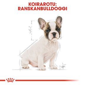 Royal Canin French Bulldog Puppy koiranpennun kuivaruoka