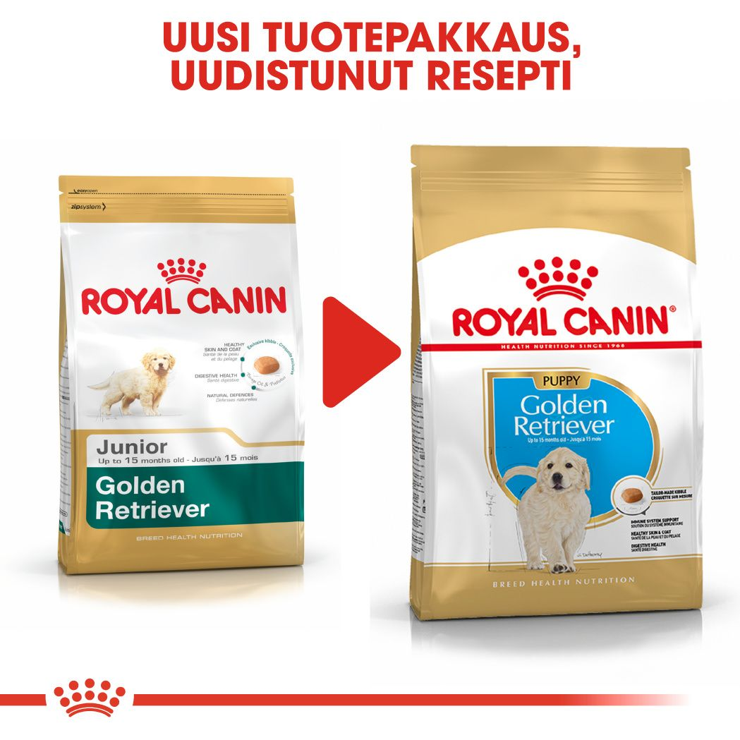 Royal Canin Golden Retriever Puppy koiranpennun kuivaruoka