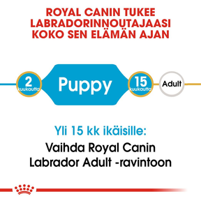 Royal Canin Labrador Retriever Puppy koiranpennun kuivaruoka