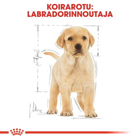 Royal Canin Labrador Retriever Puppy koiranpennun kuivaruoka