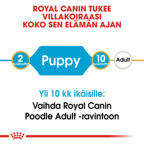 Royal Canin Poodle Puppy koiranpennun kuivaruoka