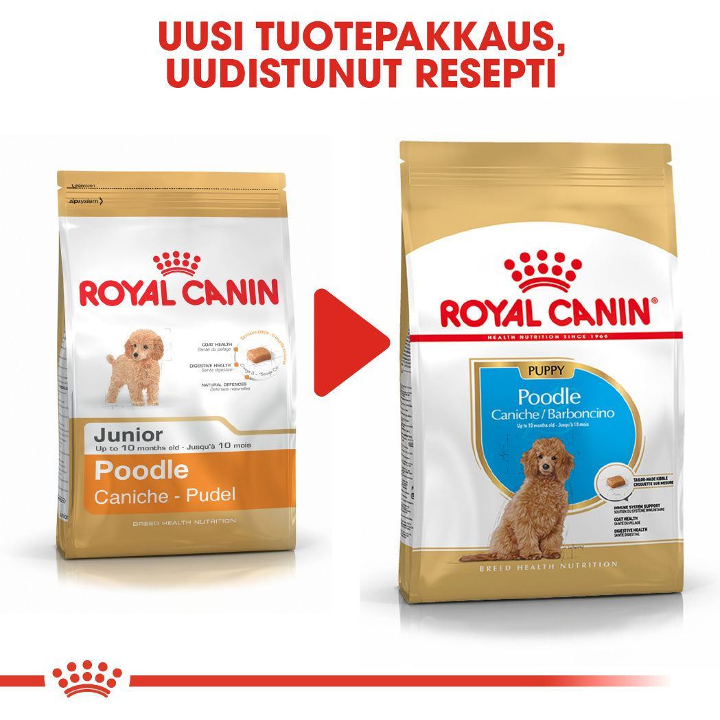 Royal Canin Poodle Puppy koiranpennun kuivaruoka