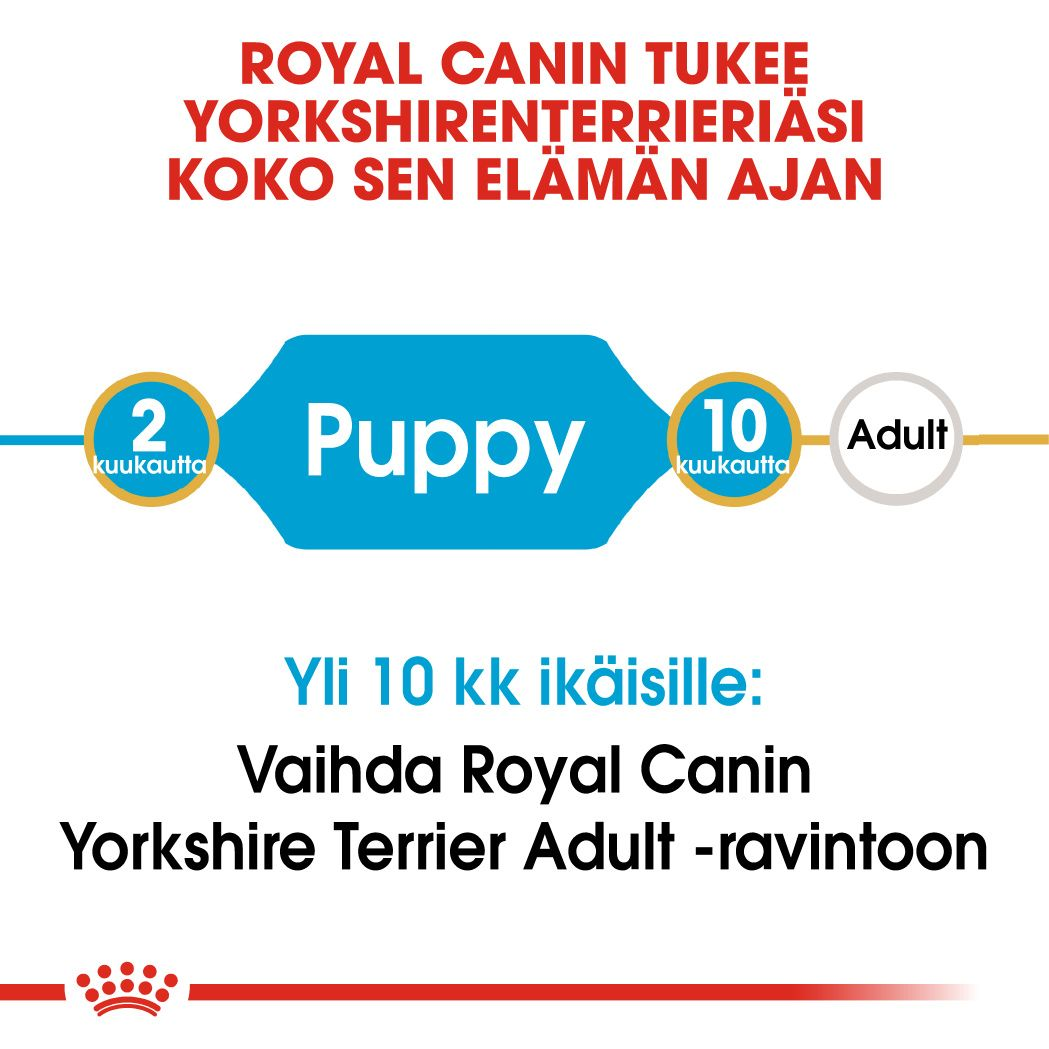 Royal Canin Yorkshire Terrier Puppy koiranpennun kuivaruoka