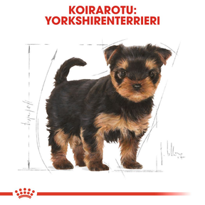 Royal Canin Yorkshire Terrier Puppy koiranpennun kuivaruoka