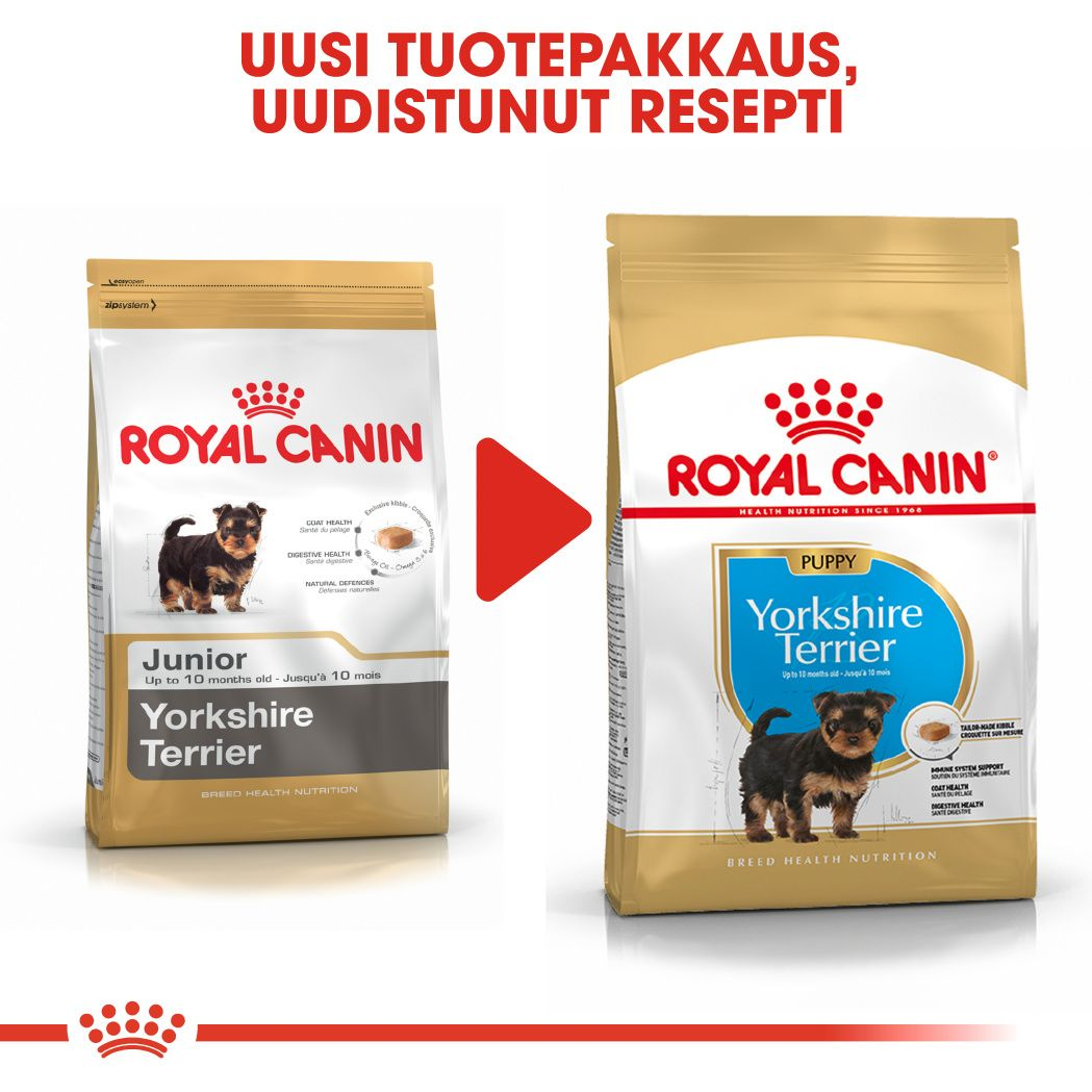 Royal Canin Yorkshire Terrier Puppy koiranpennun kuivaruoka