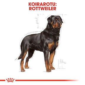 Royal Canin Rottweiler Adult koiran kuivaruoka