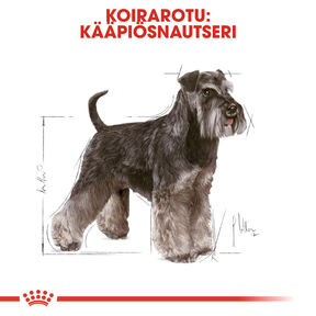 Royal Canin Miniature Schnauzer Adult koiran kuivaruoka