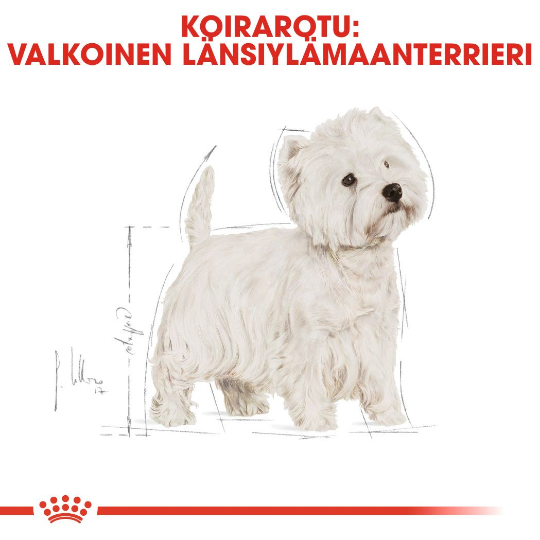 Royal Canin West Highland White Adult koiran kuivaruoka