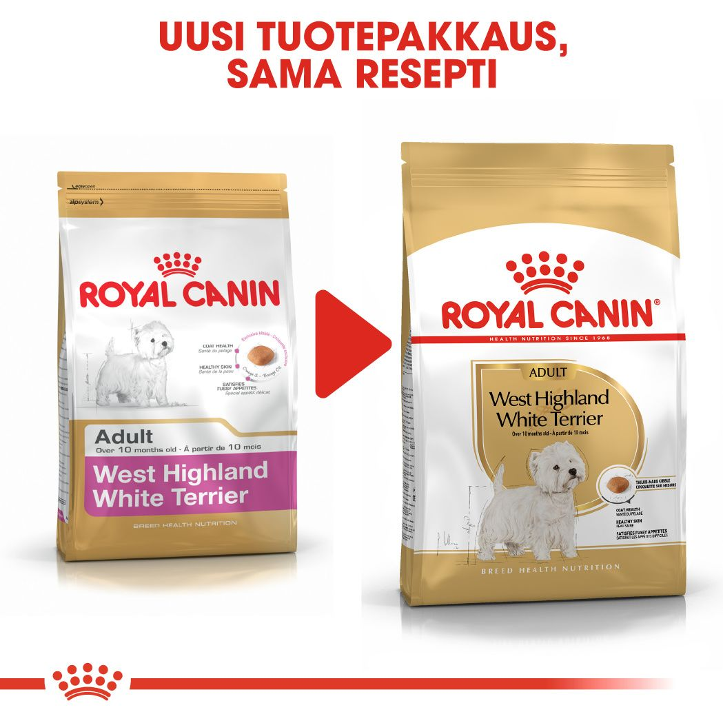 Royal Canin West Highland White Adult koiran kuivaruoka