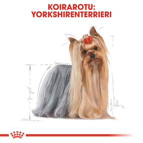 Royal Canin Yorkshire Terrier Adult koiran kuivaruoka