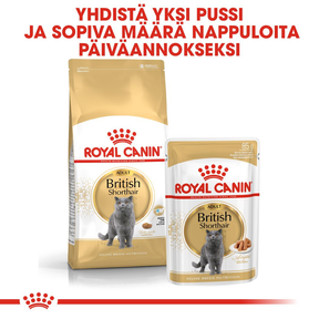 Royal Canin British Shorthair Adult kissan kuivaruoka